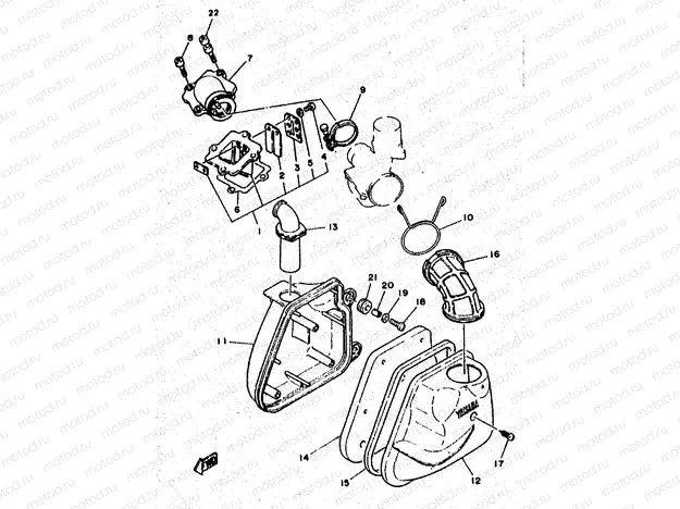 INTAKE