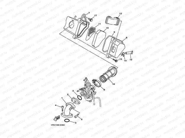 INTAKE