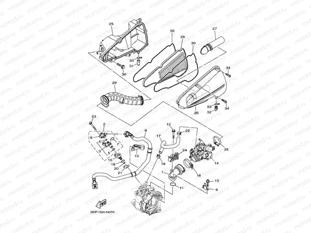 INTAKE