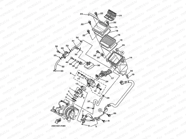 INTAKE