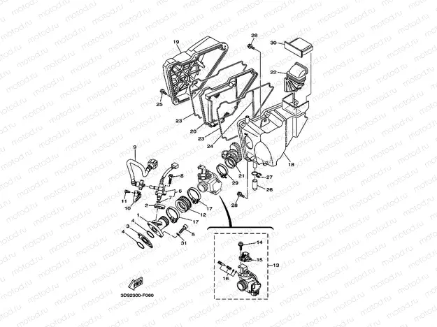 INTAKE