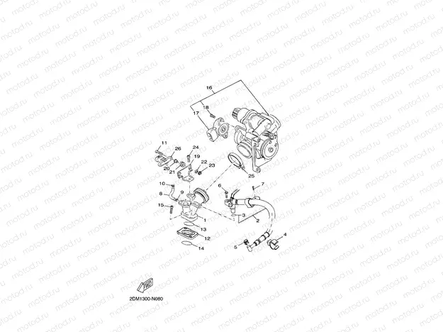 INTAKE