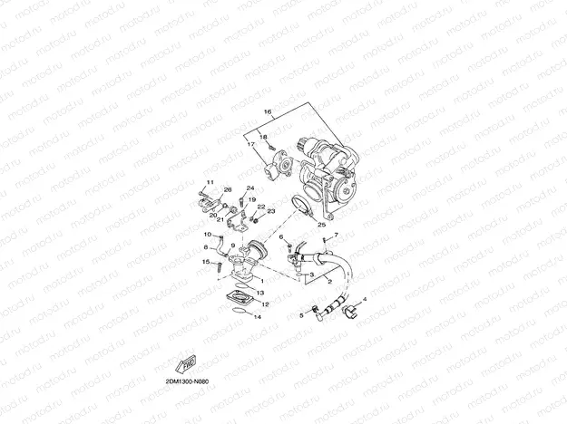 INTAKE