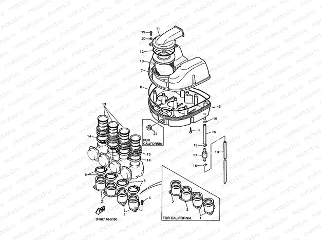 INTAKE