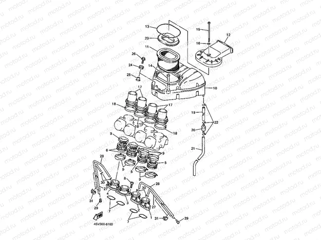 INTAKE