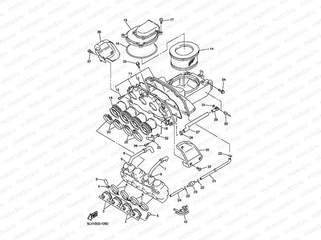 INTAKE