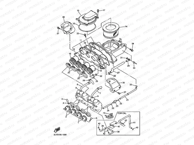 INTAKE