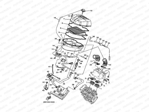 INTAKE