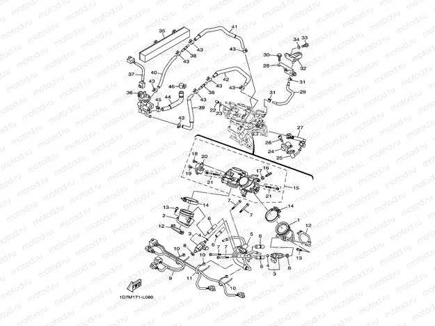 INTAKE