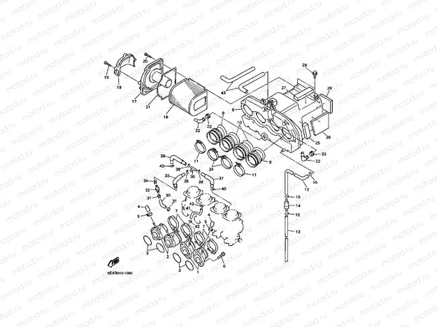 INTAKE