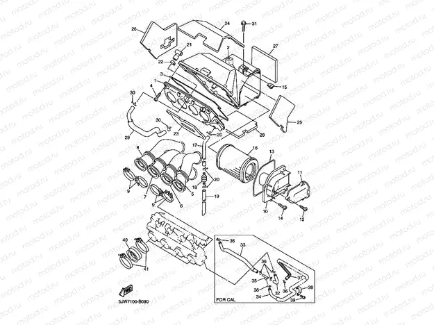 INTAKE