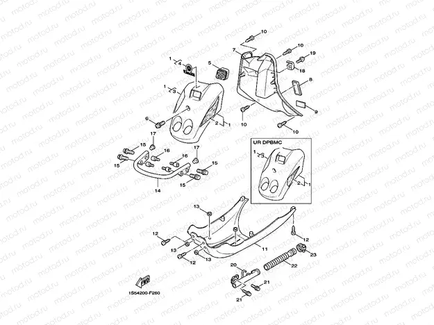 LEG SHIELD