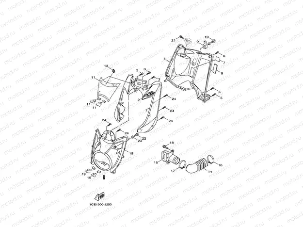 LEG SHIELD
