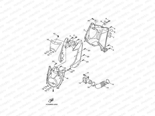 LEG SHIELD