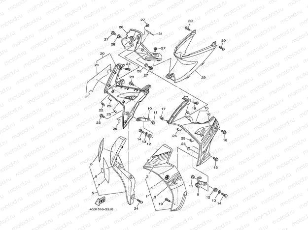 LEG SHIELD