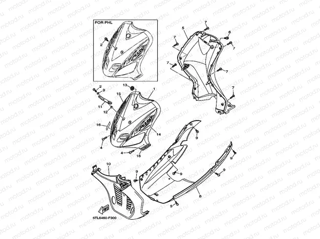 LEG SHIELD