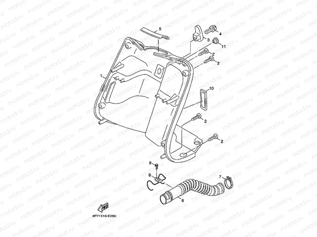LEG SHIELD