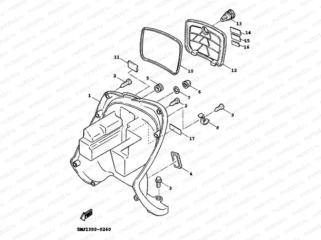 LEG SHIELD