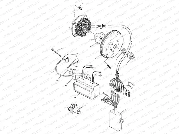 MAGNETO - W005197I (4955815581C008) | MAGNETO - W005197I (4955815581C008)