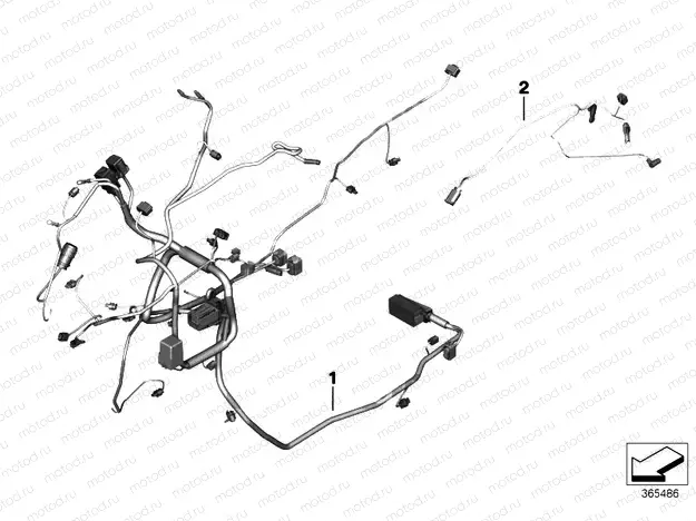 Main / rear wiring harness