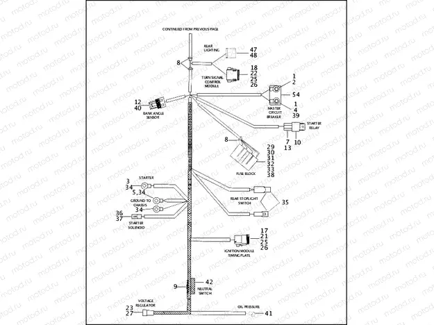 MAIN WIRING HARNESS (2 OF 2)