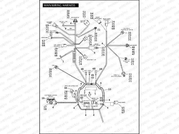 MAIN WIRING HARNESS