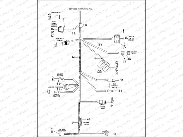 MAIN WIRING HARNESS - 883/1200 CUSTOM (2 OF 2)