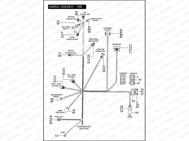 MAIN WIRING HARNESS - ABS (1 OF 3)