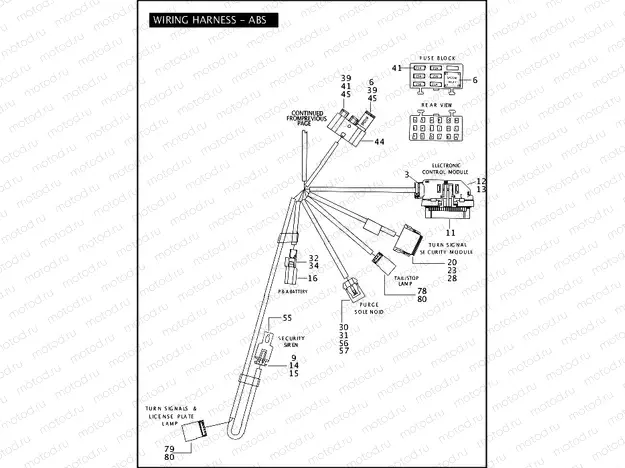 MAIN WIRING HARNESS - ABS (3 OF 3)