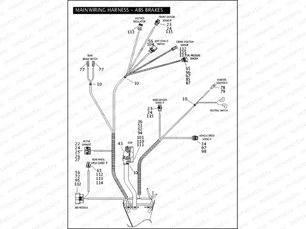 MAIN WIRING HARNESS - ABS BRAKES - FLHP & FLHPE (CONTINUED)