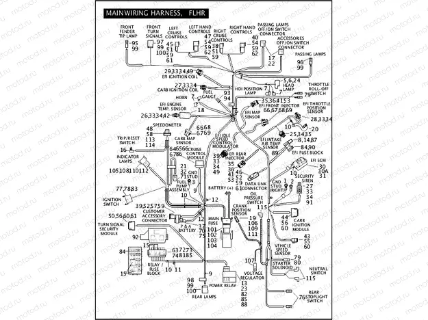 MAIN WIRING HARNESS, FLHR (2 OF 3)