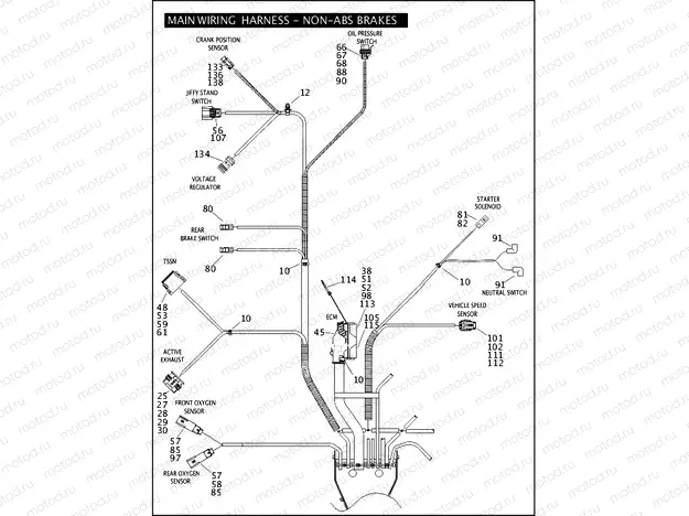 MAIN WIRING HARNESS - NON-ABS BRAKES - FLHP & FLHPE (5 OF 5)