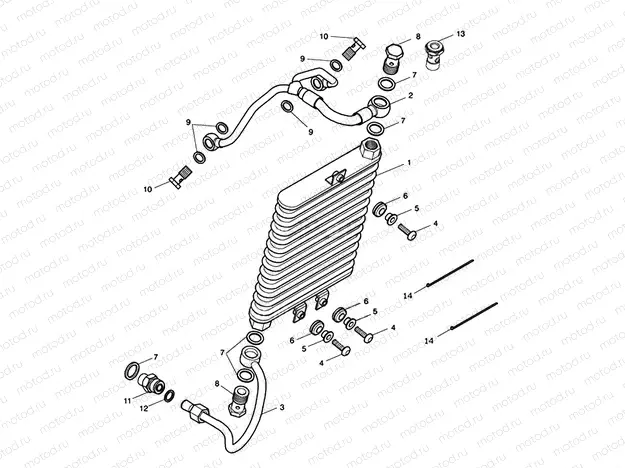 Oil Cooler