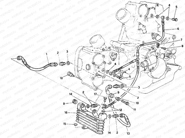 OIL COOLER » LUBRICATION SYSTEM