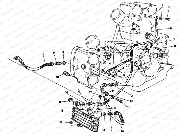 OIL COOLER » LUBRICATION SYSTEM