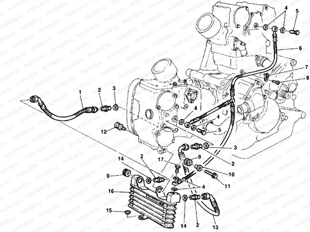 OIL COOLER » LUBRICATION SYSTEM