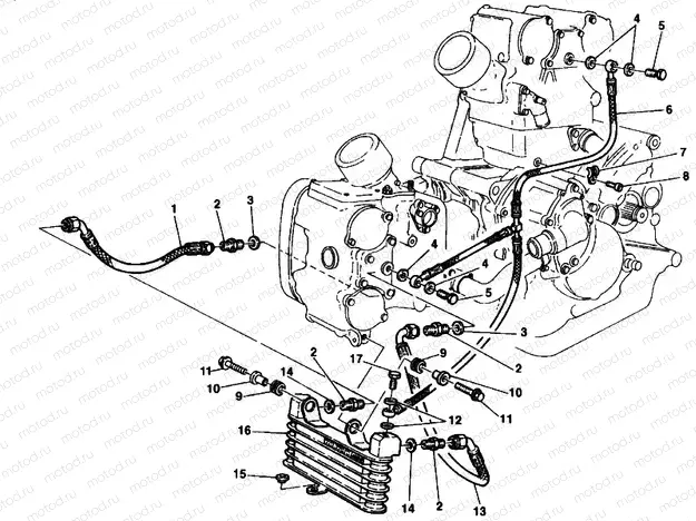 OIL COOLER » LUBRICATION SYSTEM