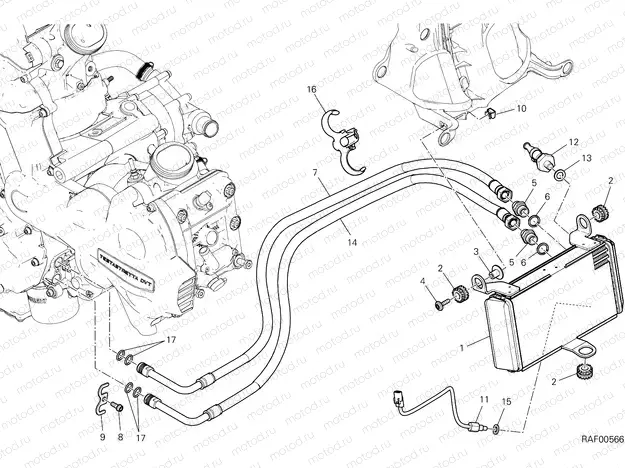 OIL COOLER [MOD:MS1200E;XPO:STD]