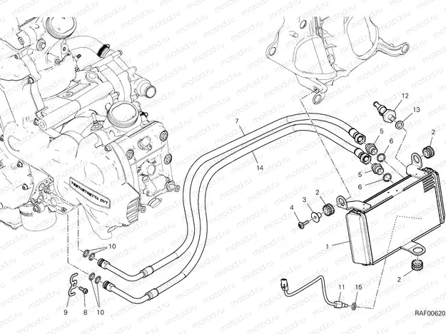 OIL COOLER [MOD:MS1260]