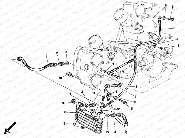OIL COOLER SP » LUBRICATION SYSTEM