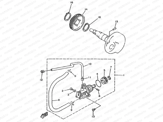 OIL PUMP