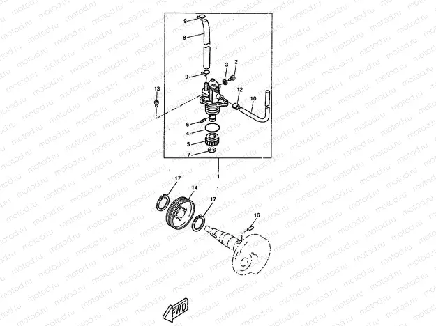 OIL PUMP