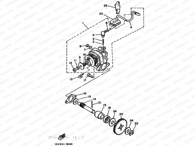 OIL PUMP