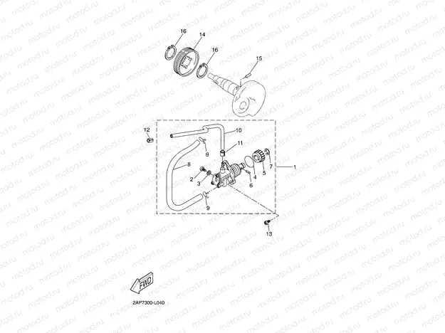 OIL PUMP
