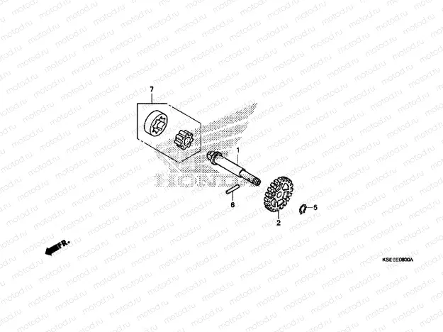 OIL PUMP