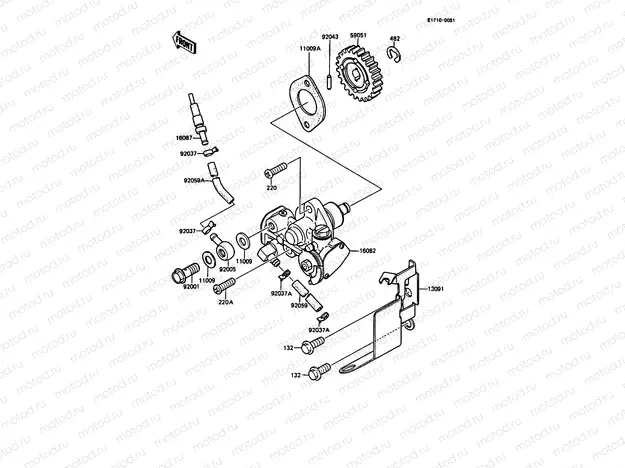 Oil Pump