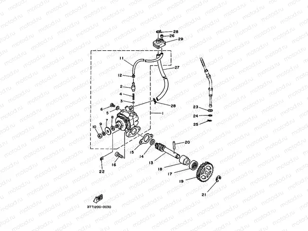 OIL PUMP