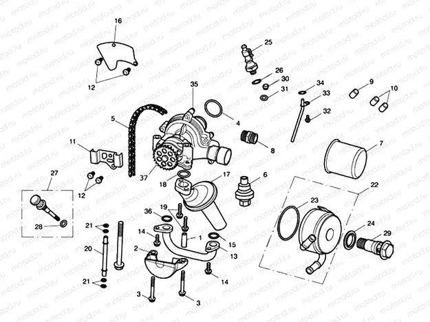 Oil Pump Drive