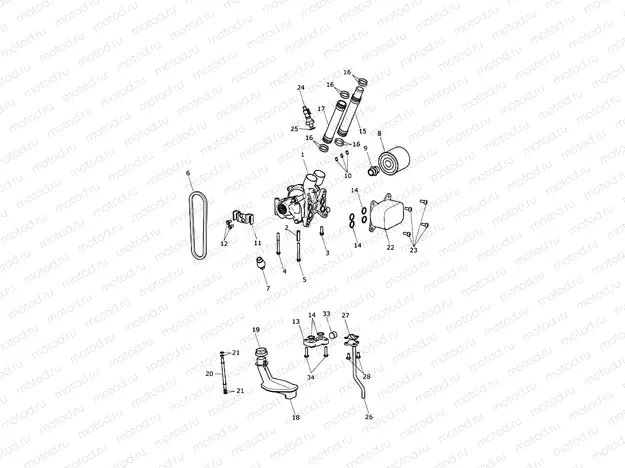 Oil Pump Drive