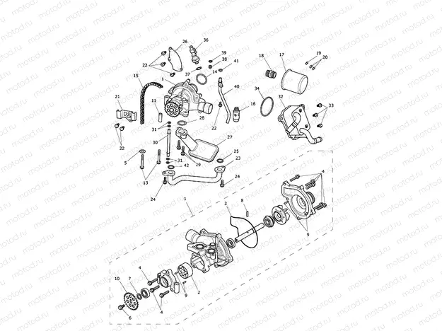 Oil Pump Drive